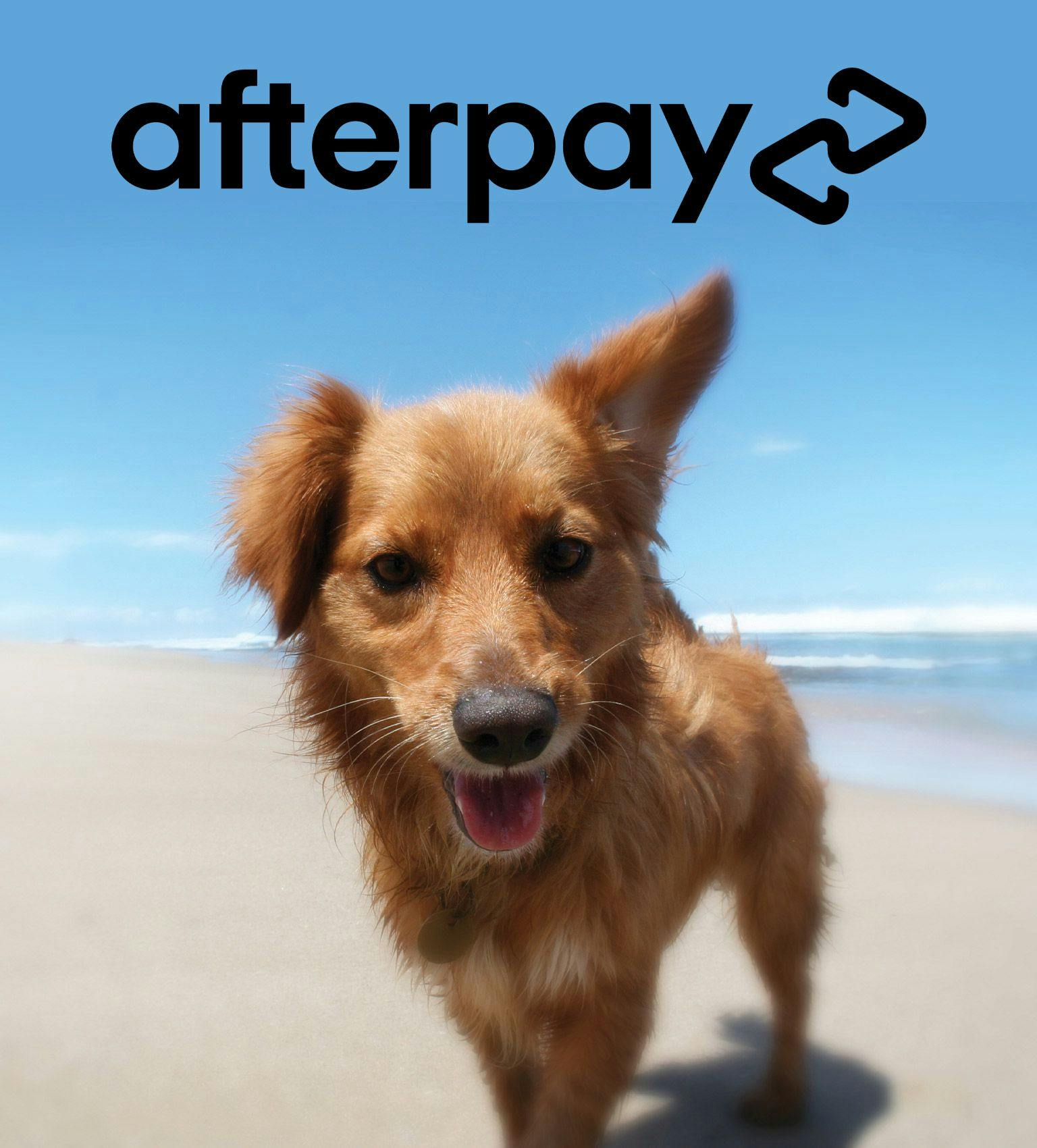 Purchase now. Pay Later. With AfterPay.