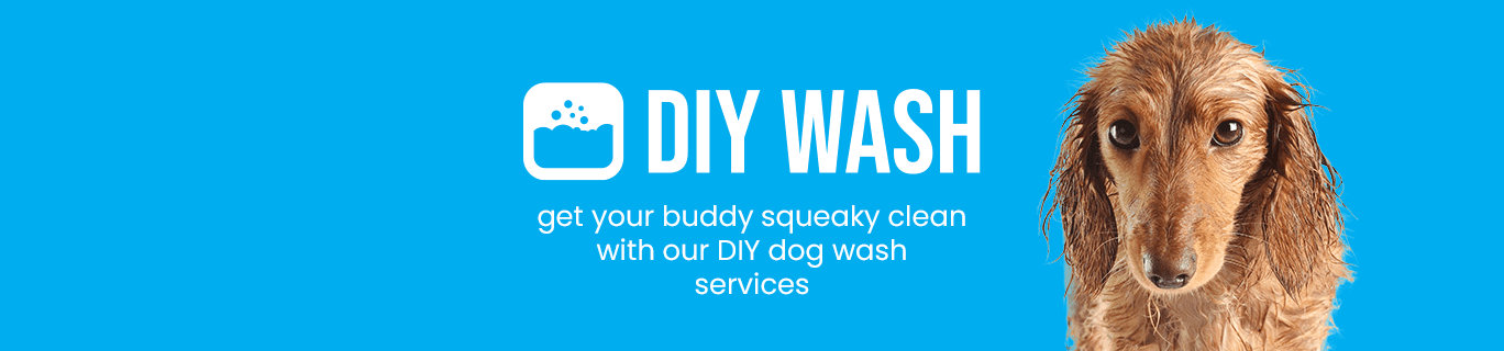 DIY Wash - get your buddy squeaky clean with our DIY dog wash services