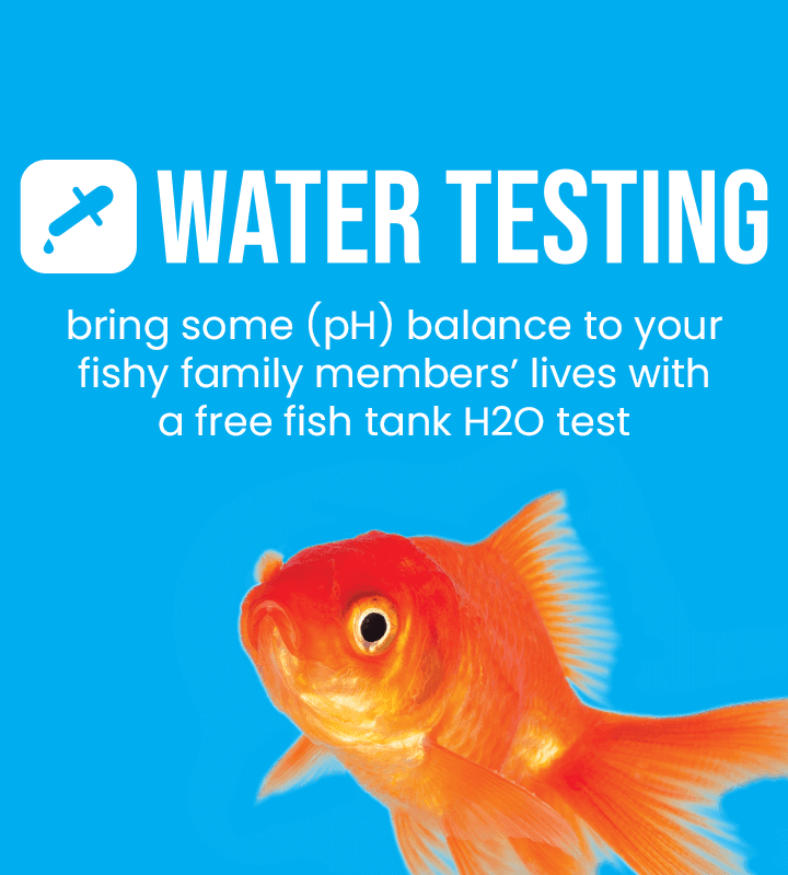 Water Testing - bring some (pH) balance to your fishy family members' lives with a free fish tank h2o test